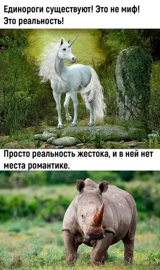 Смешная картинка №670574