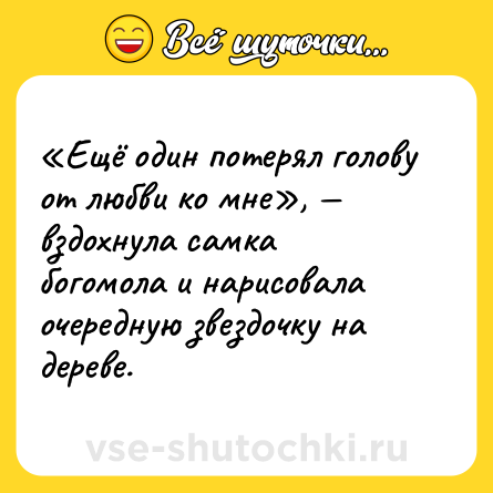 Шутка: «Ещё один потерял голову от любви ко мне», — вздохнула самка богомола и нарисовала очередную звездочку на дереве.