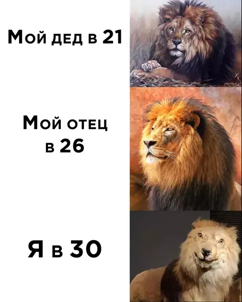Смешная картинка №559971