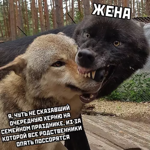 Смешная картинка №533347