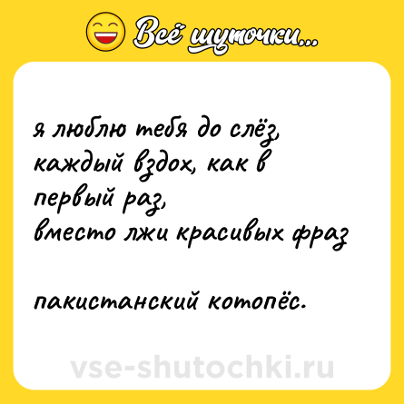 Шутка: я люблю тебя до слёз,  <br>каждый вздох, как в первый раз,  <br>вместо лжи красивых фраз <br>пакистанский котопёс.