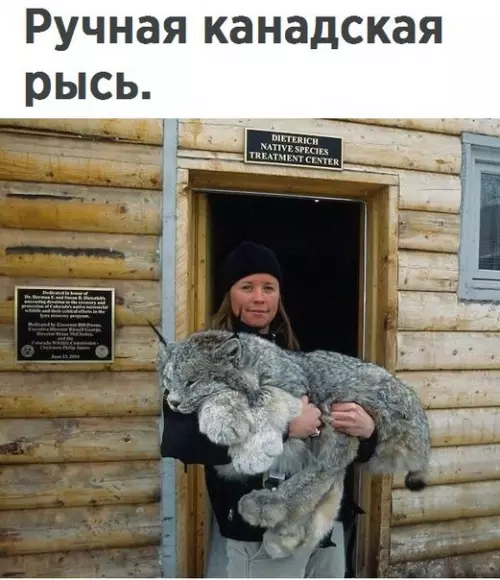 Смешная картинка №275684