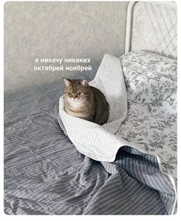 Смешная картинка №787180