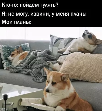 Смешная картинка №789442