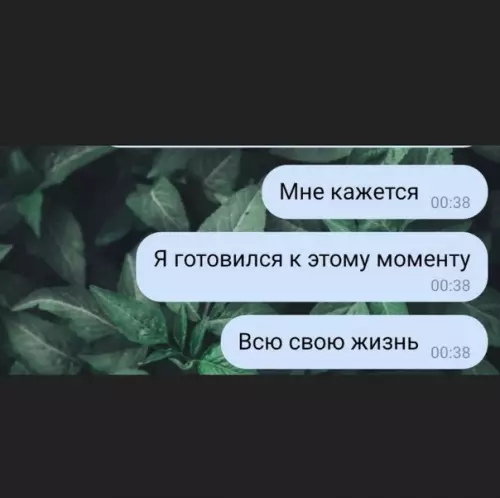 продолжение Смешная картинка №621782 Сразу видно, что в университете учатся грамотные люди