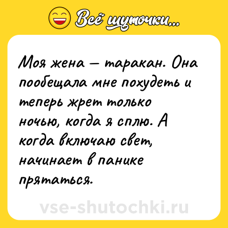 Шутка: Моя жена — таракан. Она пообещала мне похудеть и теперь жрет только ночью, когда я сплю. А когда включаю свет, начинает в панике прятаться.