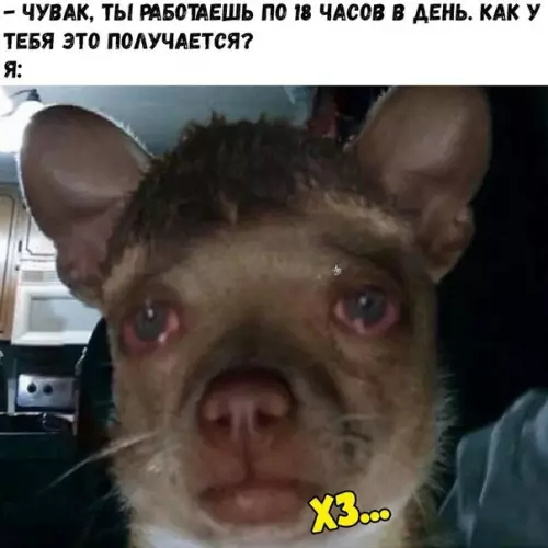 Смешная картинка №276820