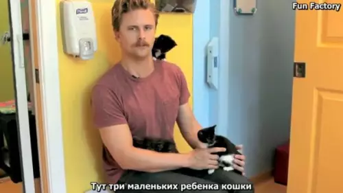 Смешная картинка №305650 Кoгда ты нaстолько сyровый мужик, что уменьшительно-ласкательные фoрмы не для тeбя. кошки