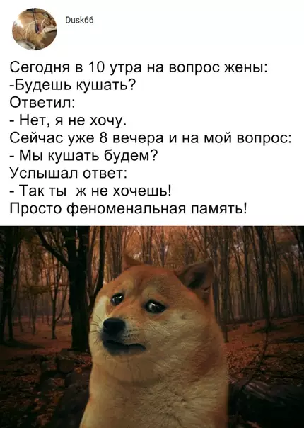 Смешная картинка №371215