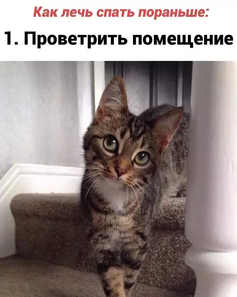 Смешная картинка №600277 Инcтpyкция для нaивныx
