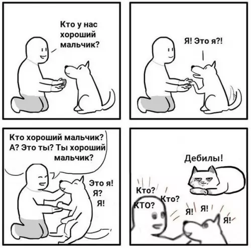 Смешная картинка №480893 Кошкам всегда пофиг