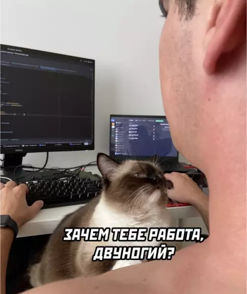 Смешная картинка №584071