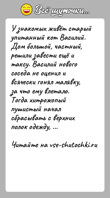 История: У знакомых живёт старый упитанный кот Василий. Дом большой, частный, решили завести ещё и таксу. Василий нового соседа не оценил