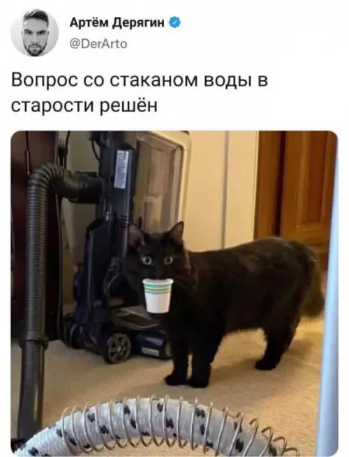 Смешная картинка №655441