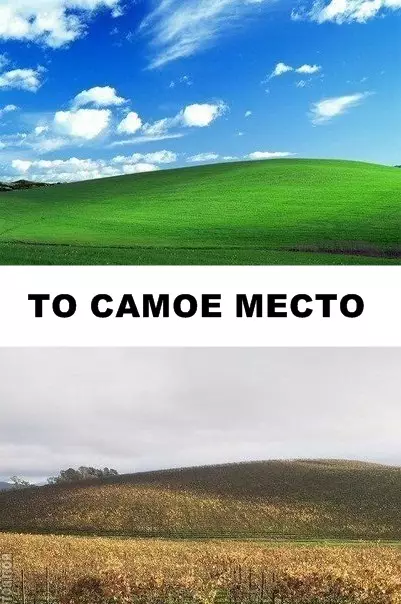 Смешная картинка №286828