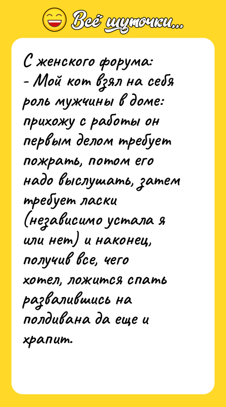 С женского форума:  - Мой кот взял на себя