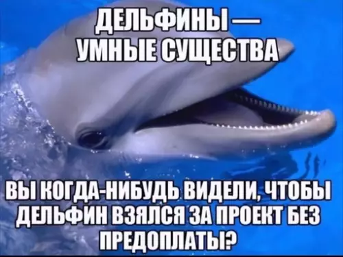 Смешная картинка №693667