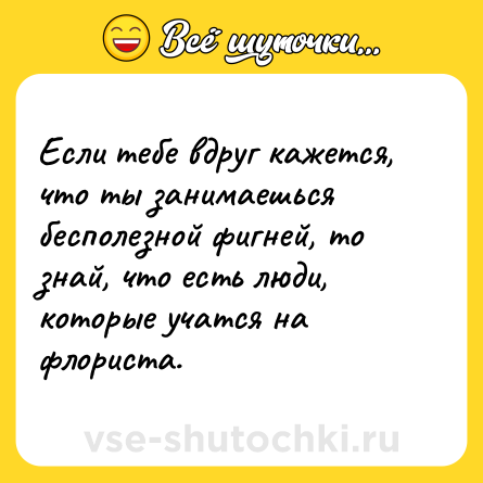 Шутка: Если тебе вдруг кажется, что ты занимаешься бесполезной фигней, то знай, что есть люди, которые учатся на флориста.