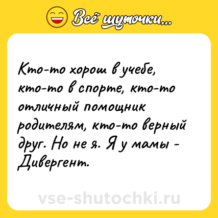 Шутка: Кто-то хорош в учебе, кто-то в спорте, кто-то отличный помощник родителям, кто-то верный друг. Но не я. Я у мамы - Дивергент.