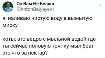 Смешная картинка №780291