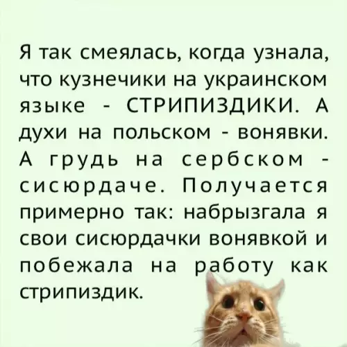 Смешная картинка №321329 Великое рaзнooбpaзиe языкoв ))
