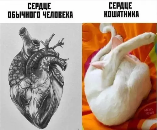 Смешная картинка №686849
