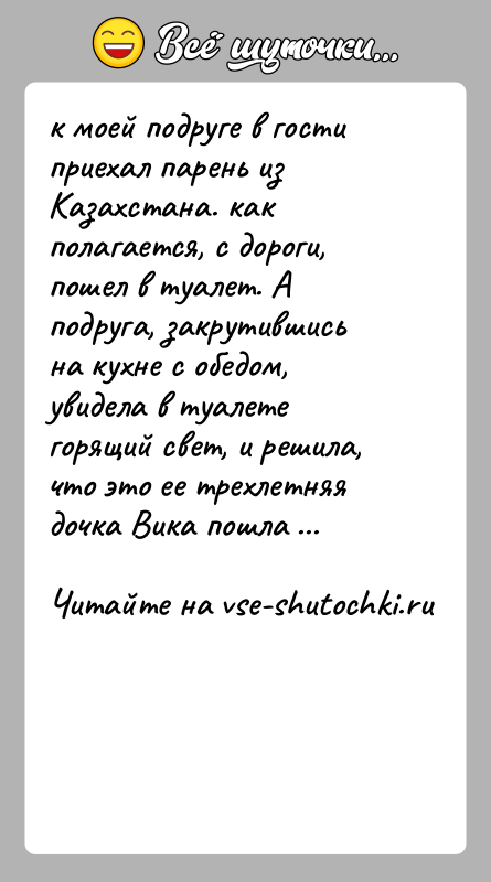История: к моей подруге в гости приехал парень из Казахстана. как полагается, с дороги, пошел в туалет. А подруга, закрутившись на