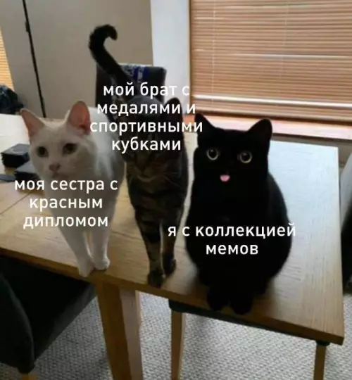 Смешная картинка №689635