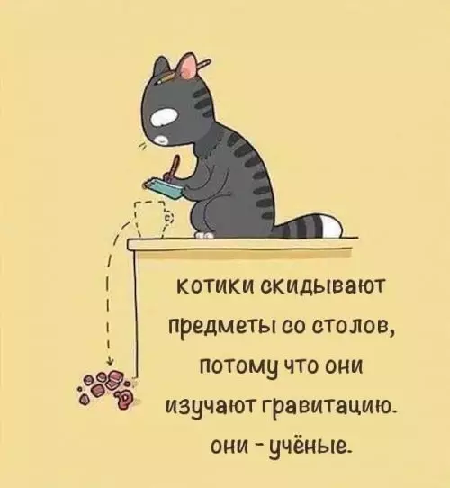 Смешная картинка №311780 А ваш кот тоже изучает гравитацию??