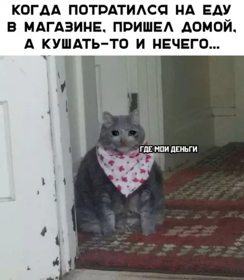 Смешная картинка №345778