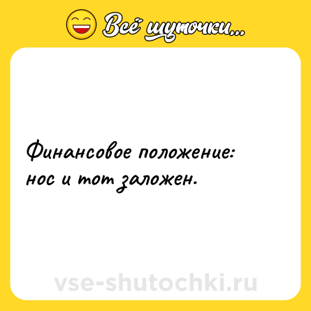 Шутка: Финансовое положение: нос и тот заложен.