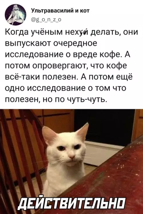 Смешная картинка №645857