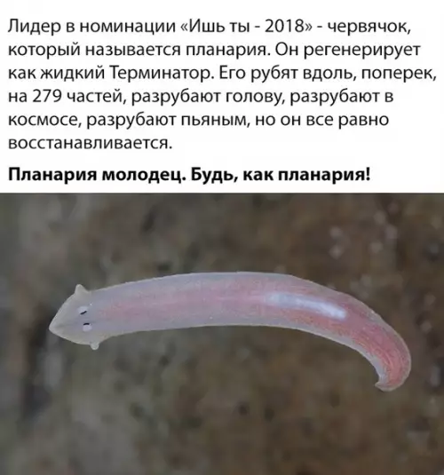 Смешная картинка №315460
