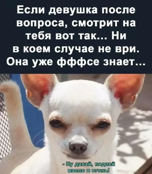 Смешная картинка №669409