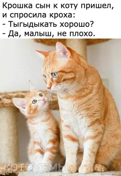 Смешная картинка №499570 Особенно ночью