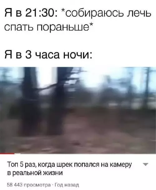 Типичный режим сна — это просто атас 💀😂 - Я в 21:30: собираюсь лечь спать пораньше Я в 3