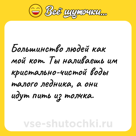 Шутка: Большинство людей как мой кот. Ты наливаешь им кристально-чистой воды талого ледника, а они идут пить из толчка.