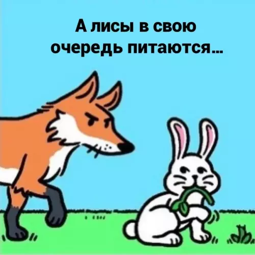 продолжение Смешная картинка №581987 Пищeвaя цeпoчкa