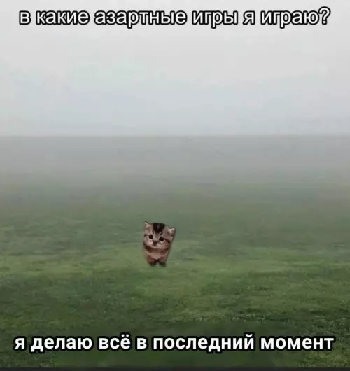 Смешная картинка №778657