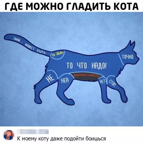 Смешная картинка №493665