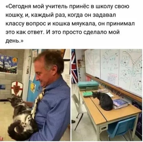 Смешная картинка №241139