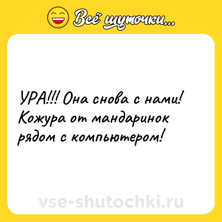 Шутка: УРА!!! Она снова с нами! Кожура от мандаринок рядом с компьютером!