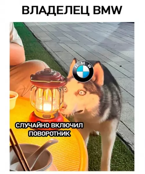 Смешная картинка №753514 Автомобили