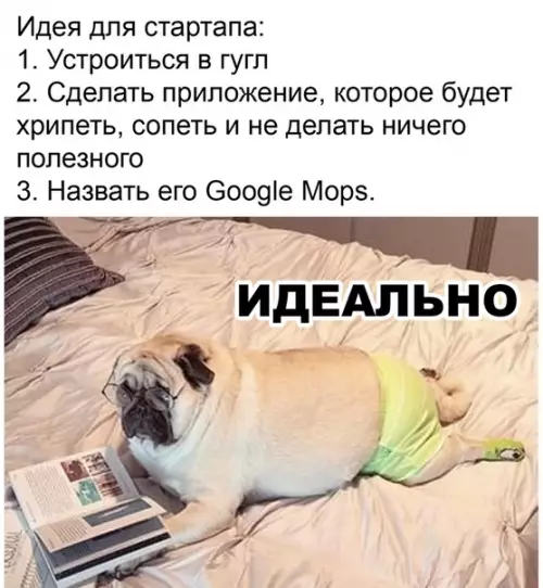 Смешная картинка №511191 Планы на будущее