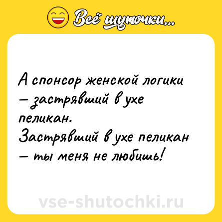 Шутка: А спонсор женской логики — застрявший в ухе пеликан.<br>Застрявший в ухе пеликан — ты меня не любишь!
