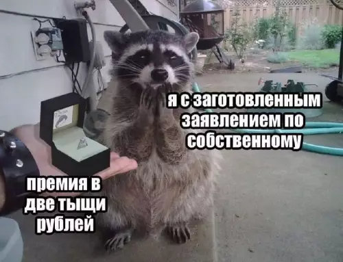 Увольнение с бонусом? Погнали! 🦝💸 - премия в две тысячи рублей я с заготовленным заявлением по