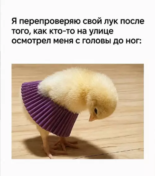 Смешная картинка №815364
