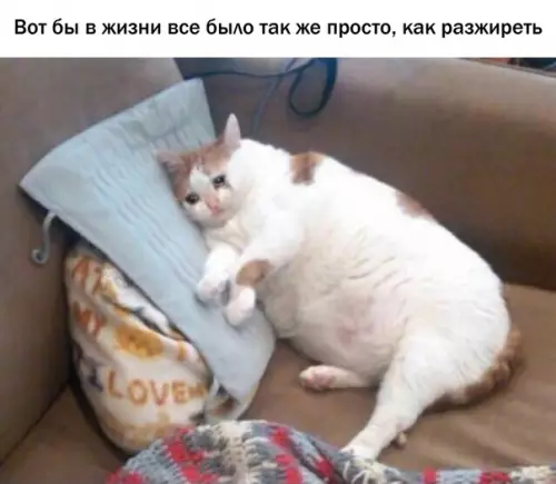 Смешная картинка №375573 Я был бы таким успешным