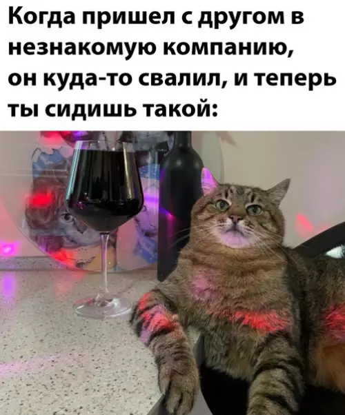 Смешная картинка №611761