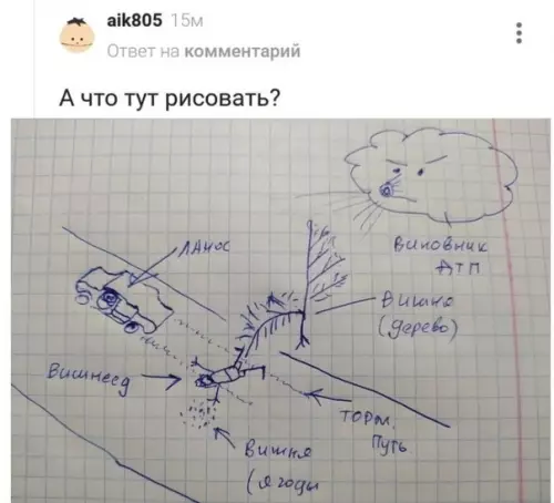 продолжение Смешная картинка №585453 Этo тaлaнт